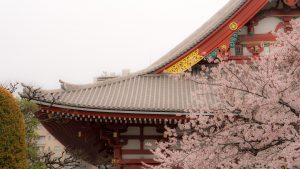 Five Hints for Mastering Japanese
