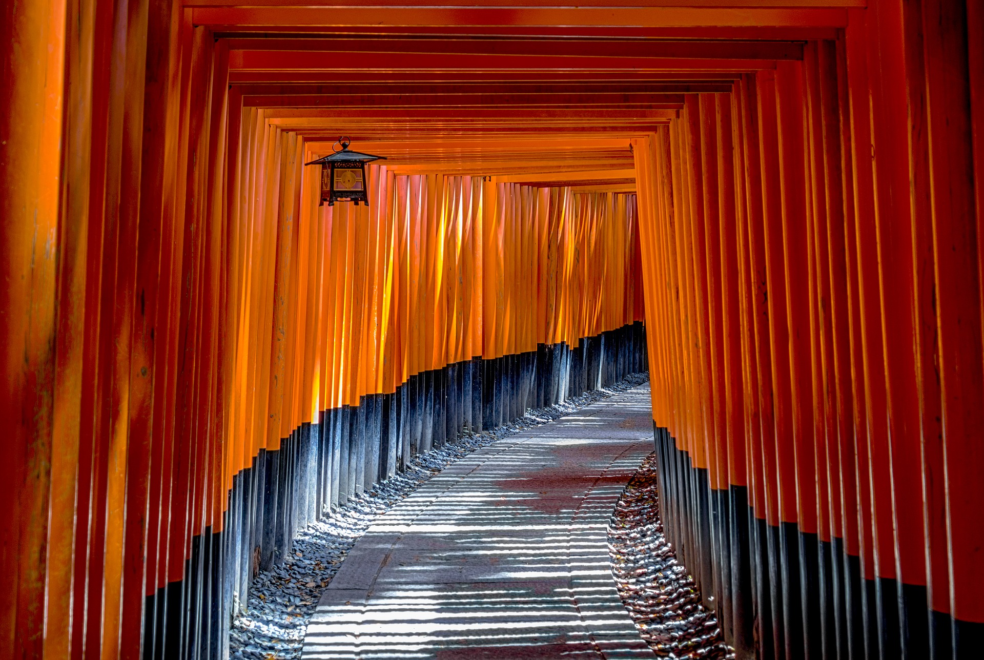 Speedy Japanese
